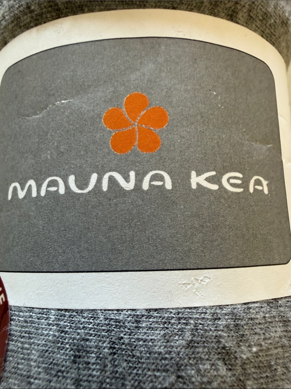 Mauna Kea | Men’s Long Sleeve Heather Gray Shirt